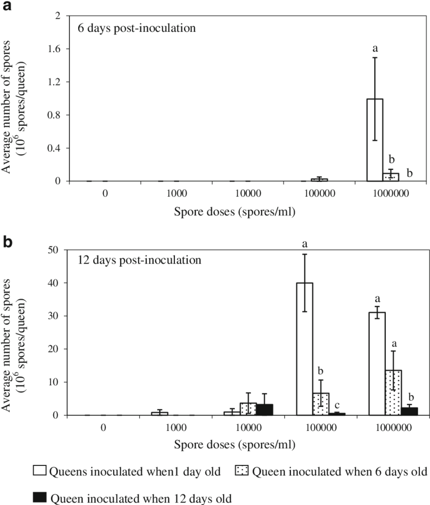 Ceranae Infection Of Different Age Honey Bee Queens - Diagram (850x1004), Png Download