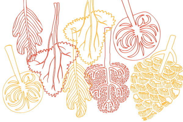 Thanksgiving - Earth Speaks To All Of Us (600x400), Png Download
