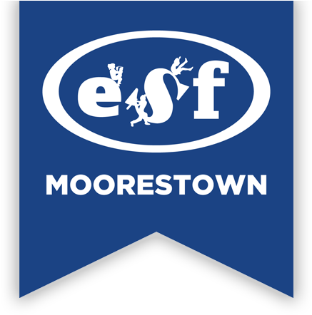 Esf Summer Camps - Esf Camp Logo (458x450), Png Download