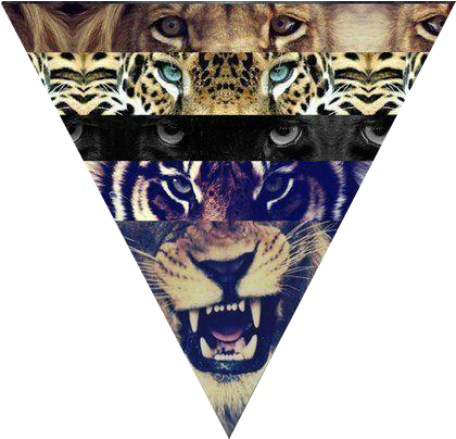 Lion Tumblr Triangle - Lion Tiger Leopard Panther (451x492), Png Download