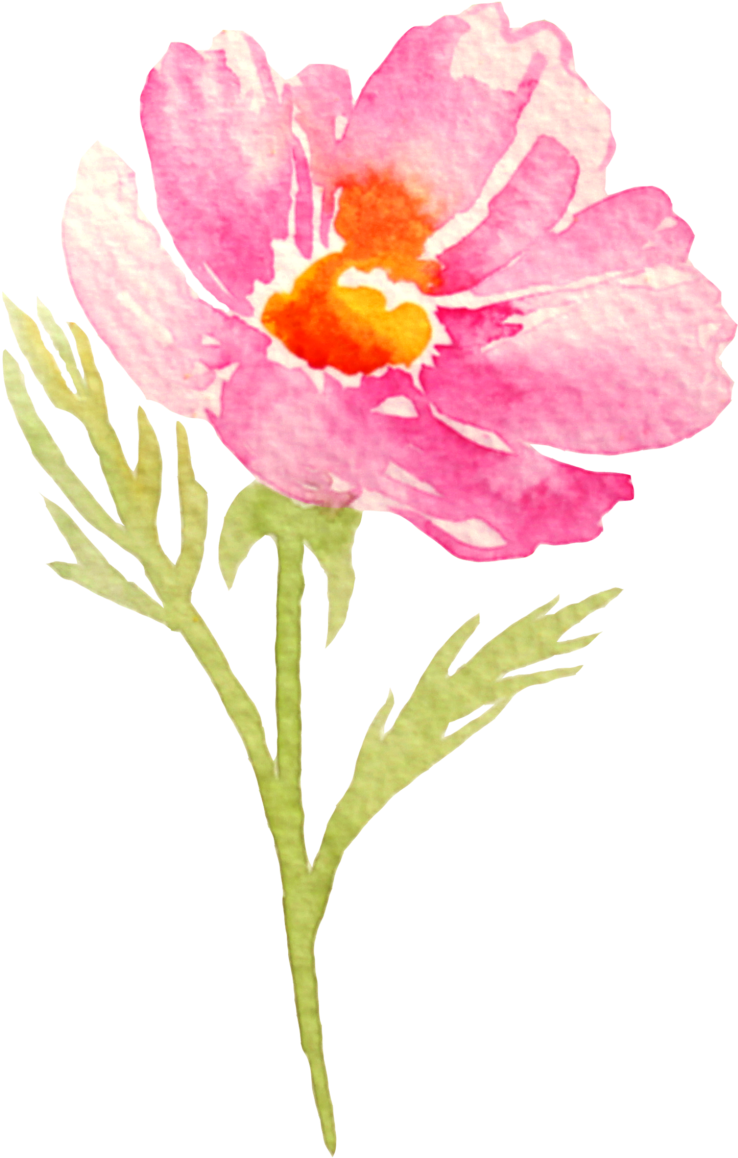 Prayer (766x1180), Png Download