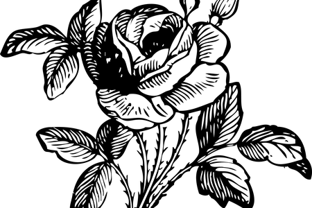 Jpg Library Download Images Of Rose Flowers Full Hd - Flower Bouquet Black And White (450x300), Png Download