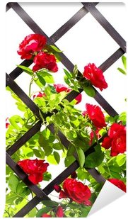 Stock Photography (400x400), Png Download