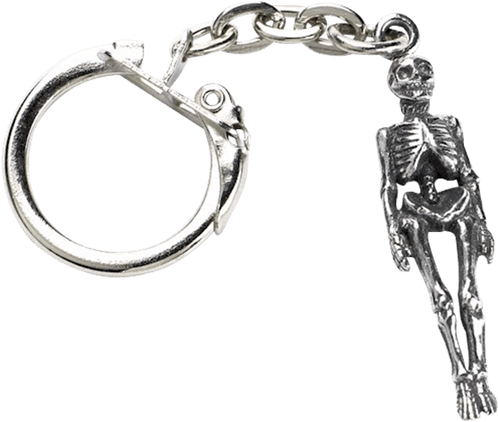Skeleton Key Ring - Keychain (555x555), Png Download