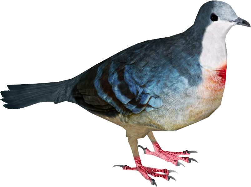 Luzon Bleeding Heart - Bleeding Heart Pigeon Png (803x803), Png Download