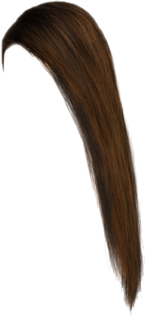 Hair Png File - Long Brown Hair Png (400x533), Png Download