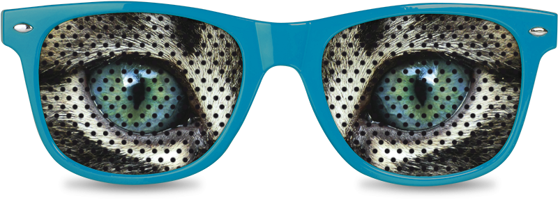 Voir - Famous Like Me (800x450), Png Download