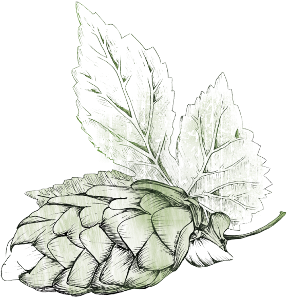 Hops Beer Png (640x610), Png Download
