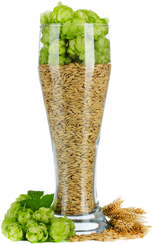 Single Malt, Single Hops - Single Malt Single Hops (300x478), Png Download