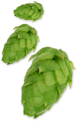 Amarillo® Pellet Hops - Amarillo Hops (300x400), Png Download