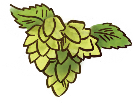 Hops - Illustration (464x371), Png Download