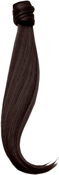 A List Clip In Hair Extensions 18'' Wrap Around Ponytail - Hair Pony Png (600x600), Png Download