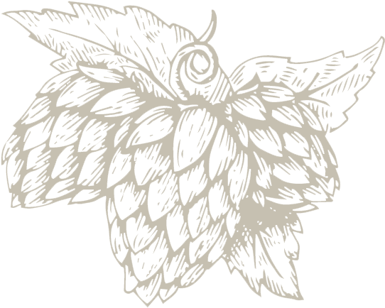 Hops Illustration - Hops Transparent (550x443), Png Download