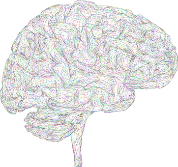 Brain, 3d, Thought, Mind, Mental, Think - Vector Graphics (362x340), Png Download