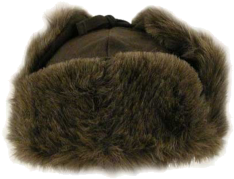 My Edit Based On The Russian Anti-meme Law - Fur Clothing (550x550), Png Download
