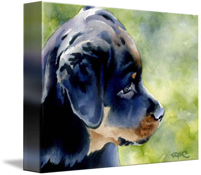 Rottweiler Puppy By David Rogers Clipart Black And - Rottweiler (650x568), Png Download