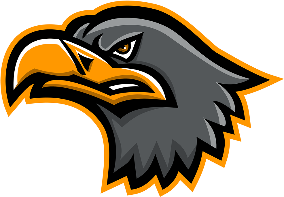 Sea Eagle (1400x1400), Png Download