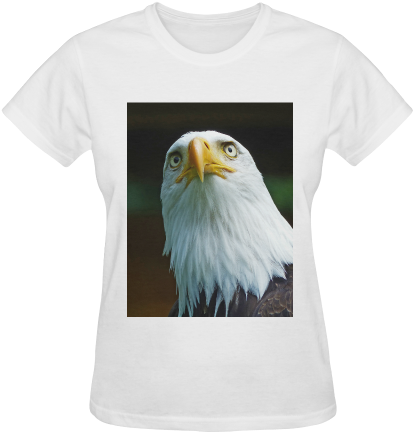 American Bald Eagle Head 001 01 Sunny Women's T-shirt - Amerikanischer Weißkopfseeadler-kopf Karte (500x500), Png Download