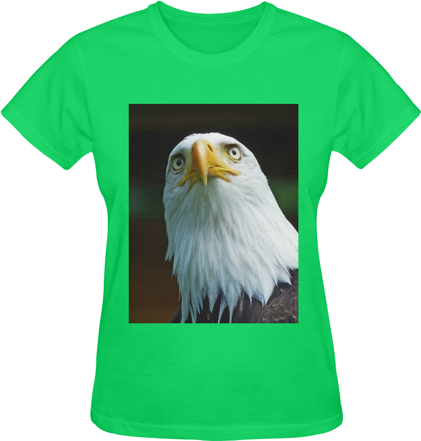 American Bald Eagle Head 001 03 Sunny Women's T-shirt - Amerikanischer Weißkopfseeadler-kopf Karte (500x500), Png Download