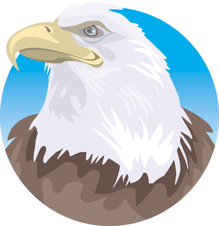 Clip Freeuse Free - Bald Eagle (726x750), Png Download