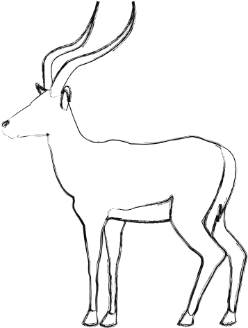 Clip Black And White Download Pair Of Standing Impala - Drawing (550x550), Png Download