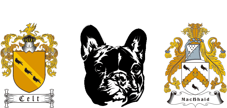 Celt Macbhaid - French Bulldog (785x398), Png Download