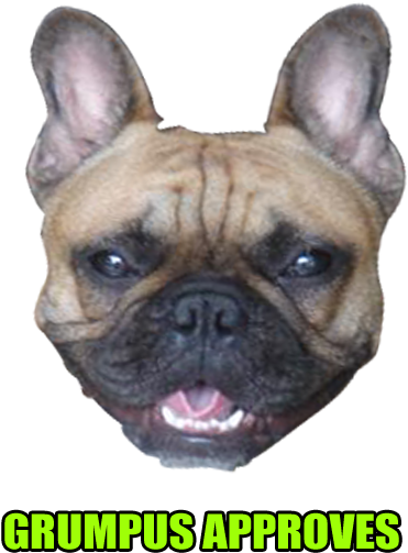 Had A French Bulldog For 8 Years - French Bulldog (432x576), Png Download