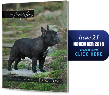 French Bulldog (383x355), Png Download