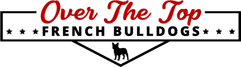 A Home Is Not Complete Without A French Bulldog - Bulldog (850x250), Png Download