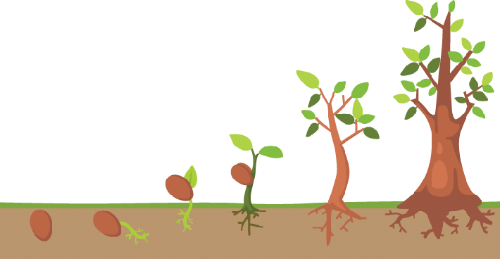 Cycling Clip Art Images - Tree Life Cycle (710x368), Png Download
