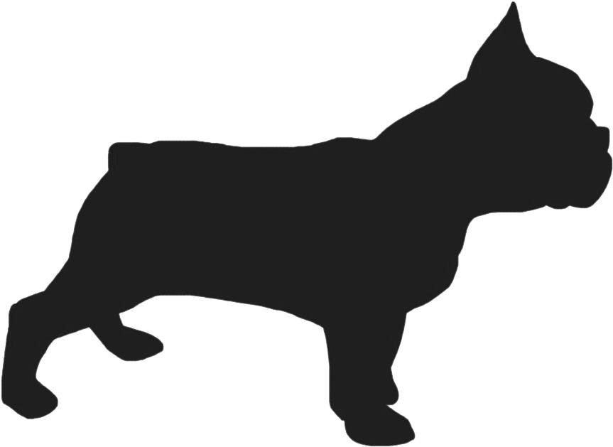 Bull Dog Silhouette At Getdrawings - French Bulldog Head Drawing (1024x682), Png Download