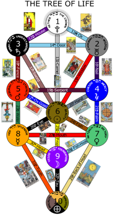Tree Of Life - El Arbol De La Vida Y El Tarot (339x479), Png Download