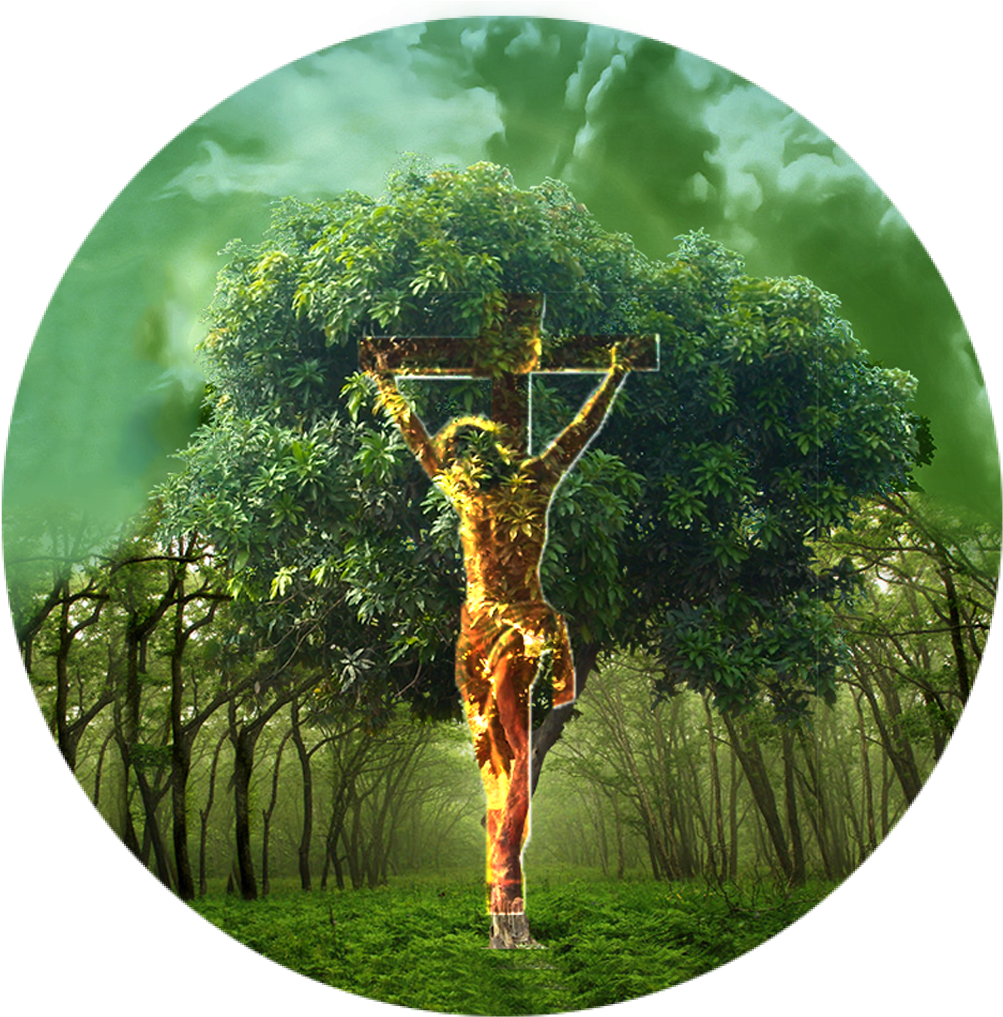 Jesus And The Tree Of Life - Tree Of Life (1024x1024), Png Download