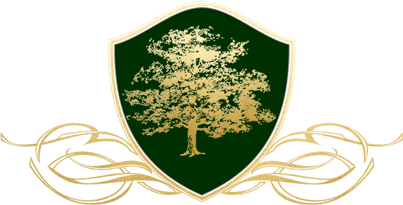 Tree Of Life Logo Web - Realm Of Radiance By Jonathan Herrick (600x300), Png Download