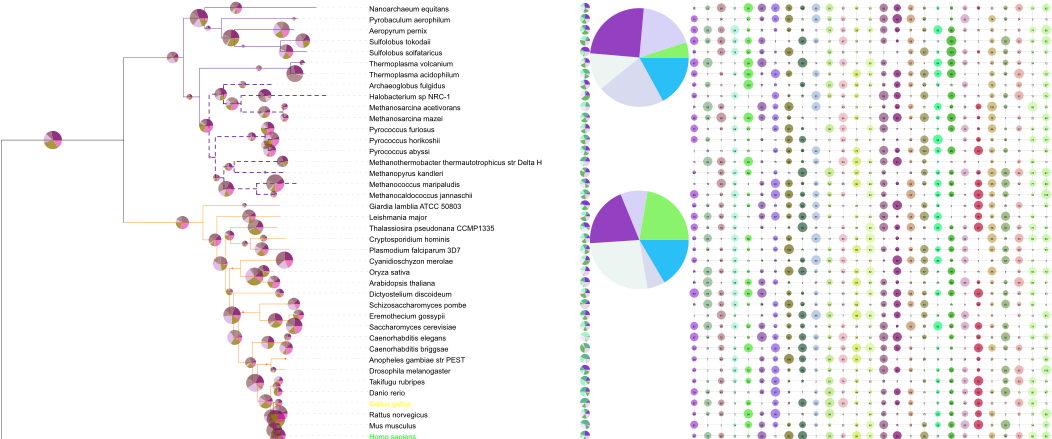 Unlimited Number Of Datasets - Graphic Design (1054x462), Png Download
