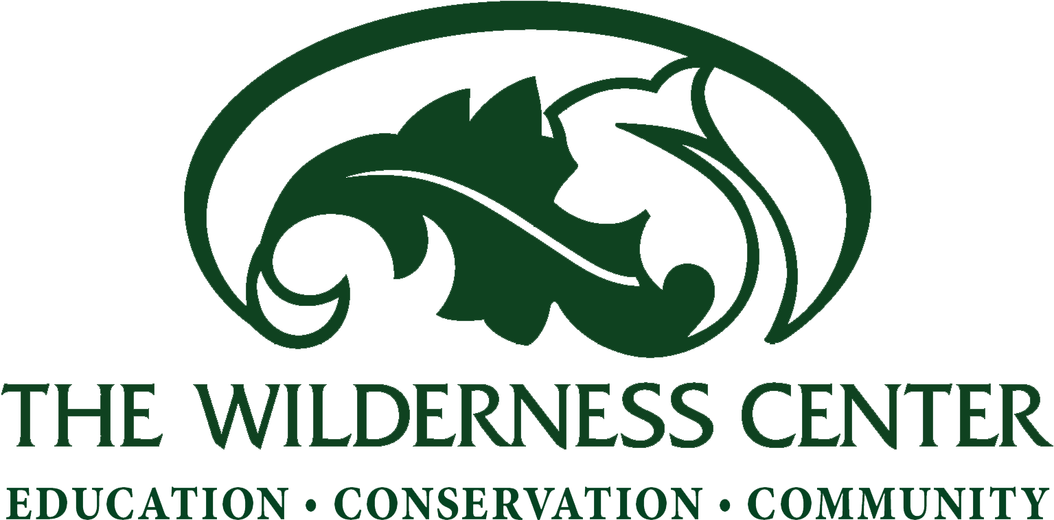 Logo - The Wilderness Center (1651x901), Png Download