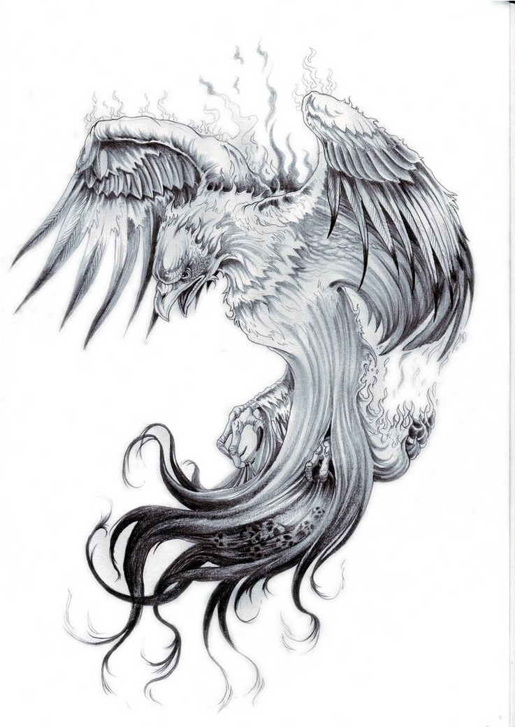Clip Art Library Phoenix Sleeve Nautical Star Transprent - Phoenix Black And White Tattoo (1040x1040), Png Download