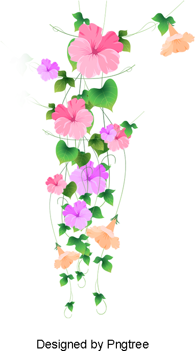 Flower Border, Flower Border, Vector Leaves, Petal - Euclidean Vector (800x800), Png Download