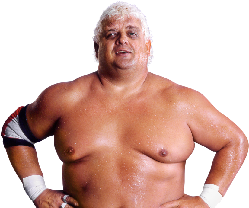 Dusty Rhodes Pro - Wwe Dusty Rhodes Png (1000x707), Png Download