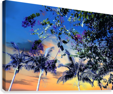 Sun Rise And Tree Canvas Print - Painting (429x357), Png Download