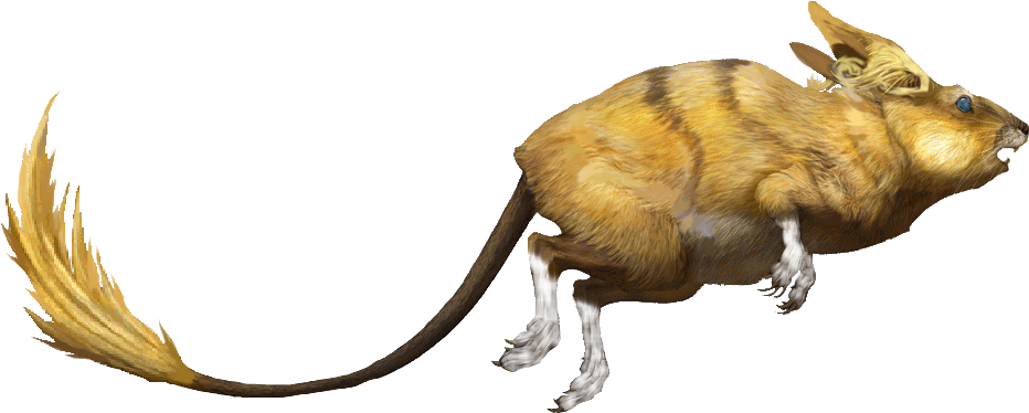 Raichu Alola Rj - Raichu Arvalis (948x386), Png Download