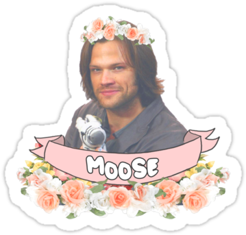 I Love Jared Padalecki He Is A Big Jesus Puppy Man - Supernatural Sam Winchester Beard (375x360), Png Download