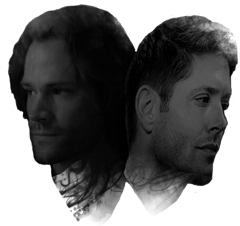 Human (480x853), Png Download