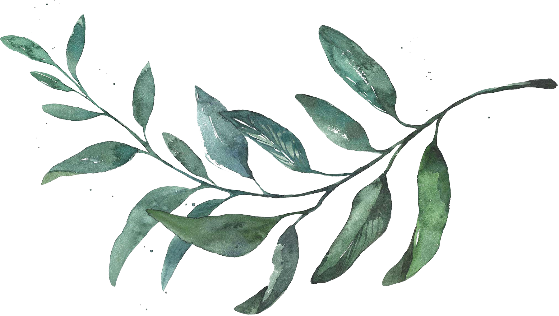 Open Rsvp In New Window - Trio De Quadros De Folhagens, Marrom Claro C/ Vidro, (1798x1016), Png Download