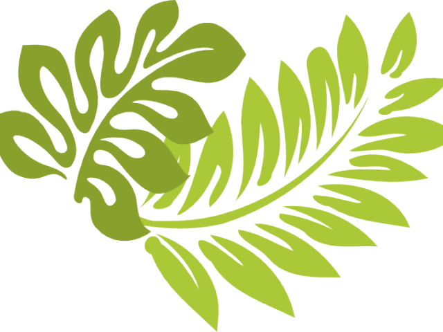 Hibiscus Clip Art (640x480), Png Download