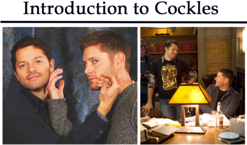 “ Real Person Fiction Is The Black Sheep Of The Fanfiction - Destiel Fanfiction (500x317), Png Download