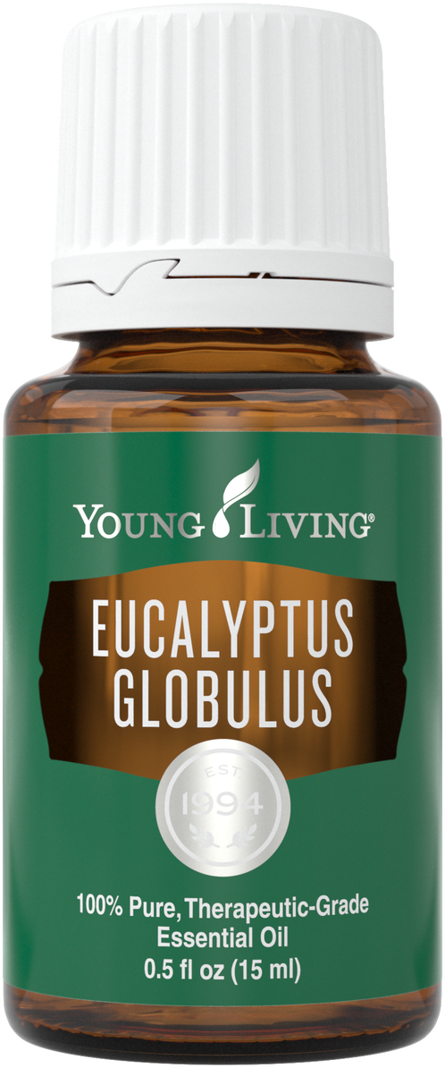Young Living Eucalyptus Globulus Essential Oil 15 Ml (498x1194), Png Download