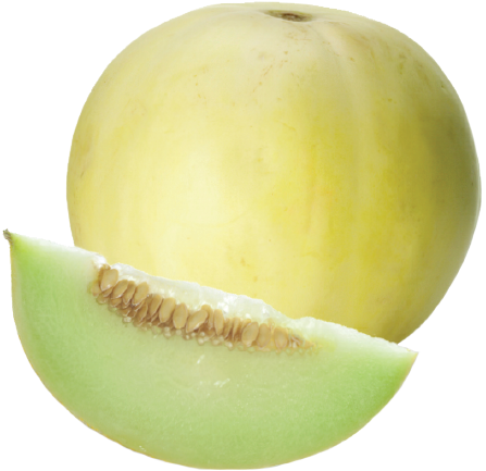 Honeydew Png (500x500), Png Download