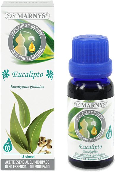 Eucalyptus Essential Oil - Marny's Patchouli Essential Oil 15ml. 15 Ml (768x768), Png Download