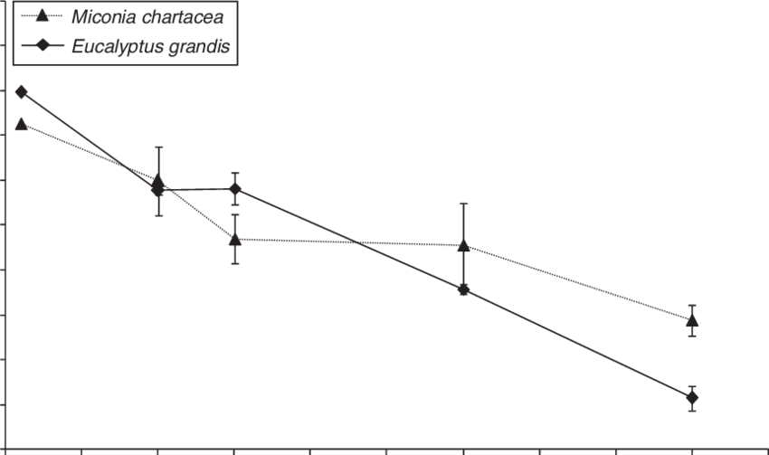 Percentage Of Leaf Weight Remaining Of Miconia Chartacea - Diagram (850x503), Png Download